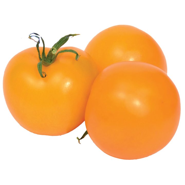 Био домат оранжев - България